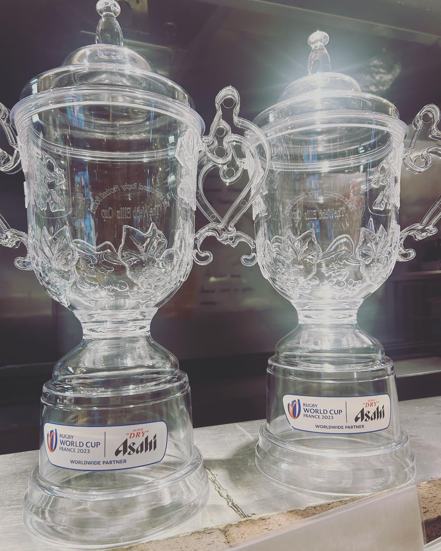 【ウェブ・エリス・カップジョッキで乾杯】ラグビー観戦後は、W杯優勝トロフィー🏆で乾杯!≪ひごの屋外苑前店≫