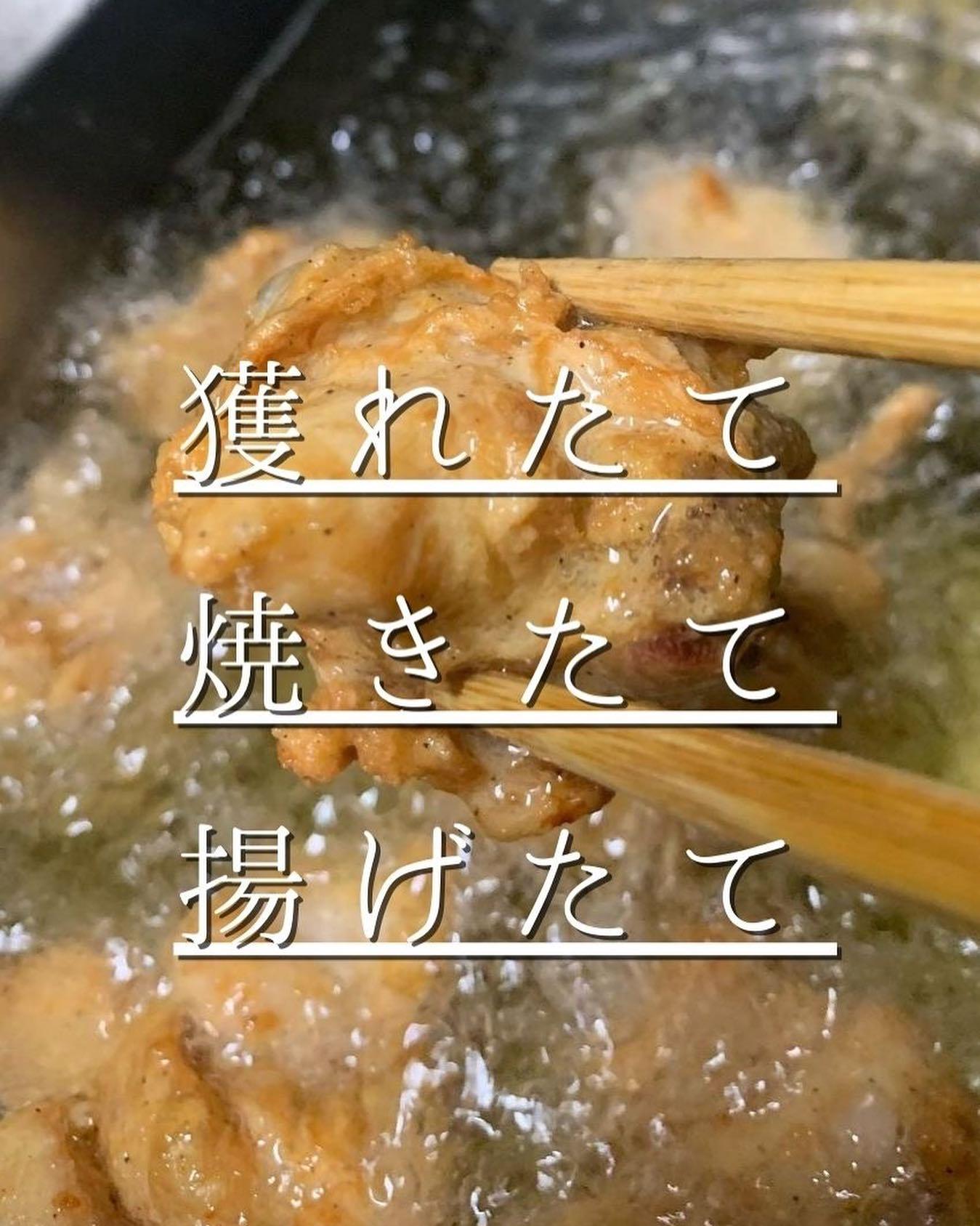 獲れたて新鮮鶏が、あなたを待っています!