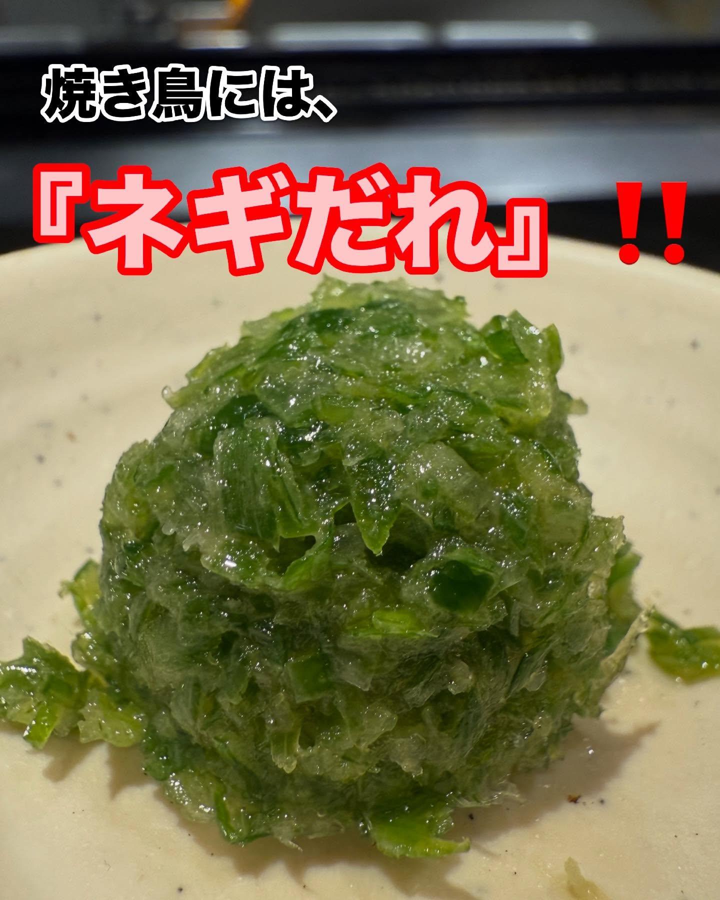 【外苑前×焼き鳥居酒屋】ひごの屋の焼き鳥には、ネギだれです!